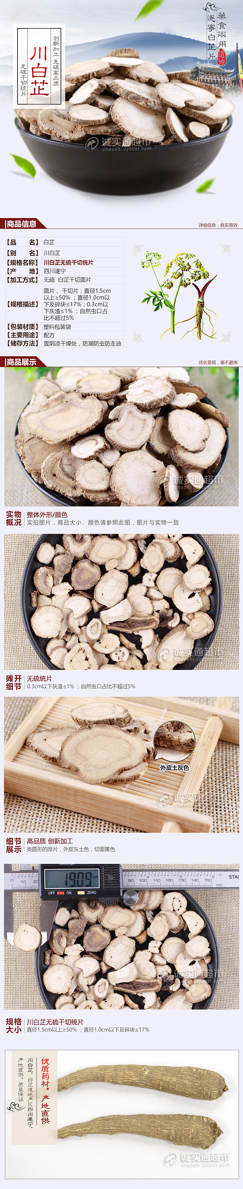 遂宁川白芷 药材详情