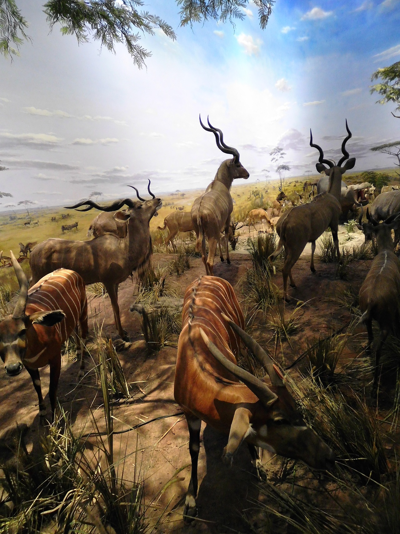 【摄影多图】上海自然博物馆一日游