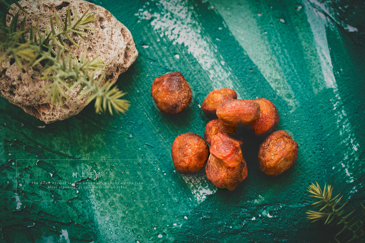 「树上干杏」-食物产品摄影