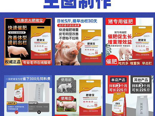 肥猪宝兽药详情设计