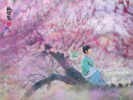 花间小坐风来晚 绛香梦鱼终成诗