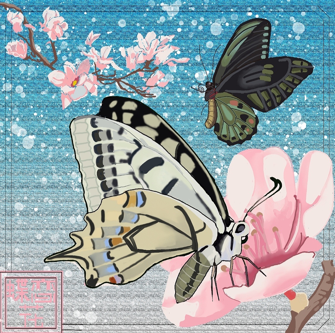 蝶恋花|插画|创作习作|xianren陆 - 原创作品 - 站酷 (zcool)