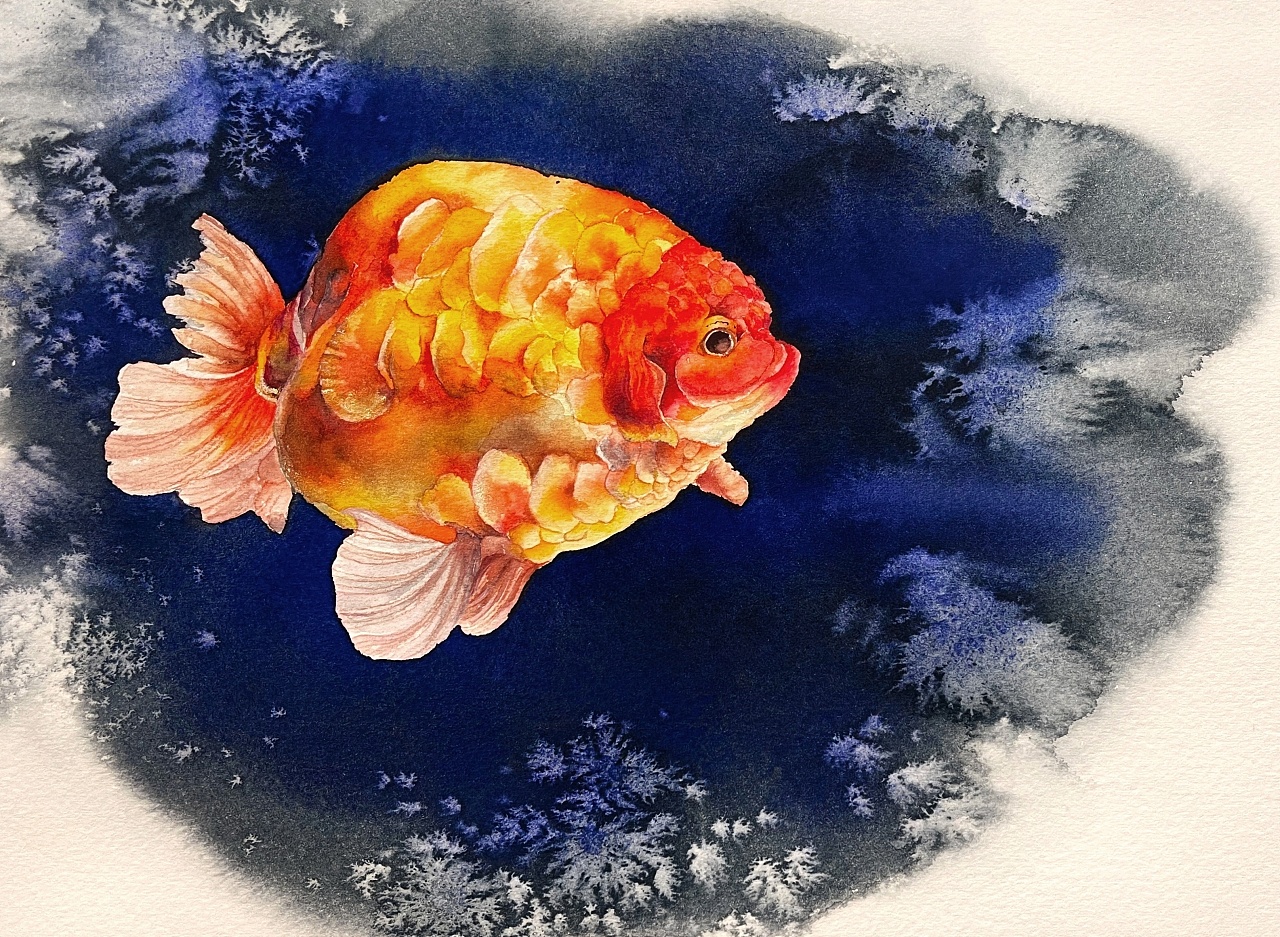 水彩金鱼|纯艺术|绘画|z878377839 - 原创作品 - 站酷 (zcool)