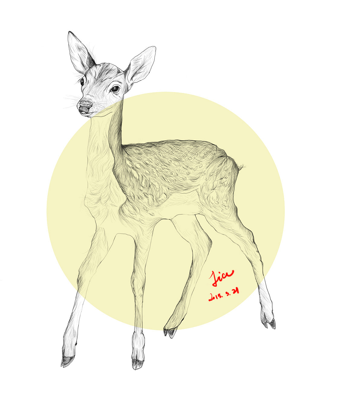 动物插图（图ZMTczNzc3NzY=） - 儿童插画 - 站酷设计师Jialovescats原创素材 - 站酷ZCOOL
