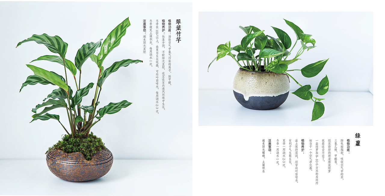 花艺家画册（图ZMTEzODQ0OTI4） - 书籍/画册 - 站酷设计师阿小德MY原创素材 - 站酷ZCOOL