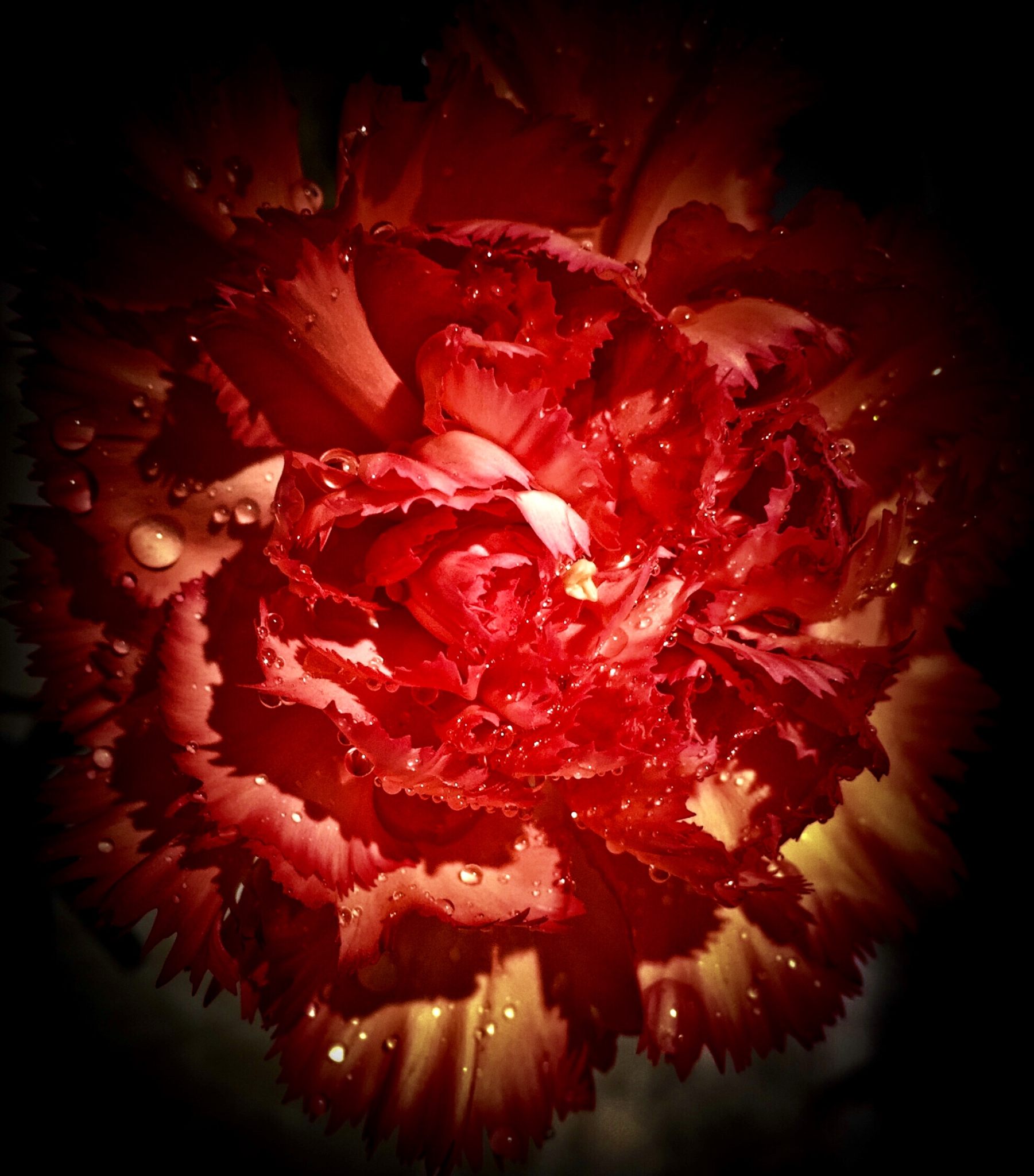 lNXXl的个人主页（封面预览） - 主页封面设置 - 站酷设计师lNXXl原创素材 - 站酷ZCOOL