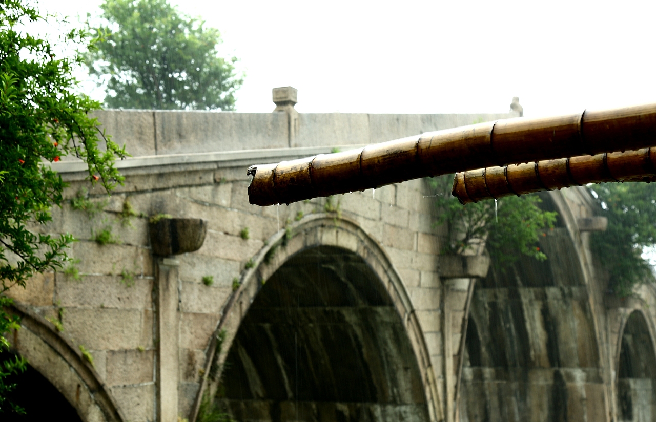 生活就是停停又走走~