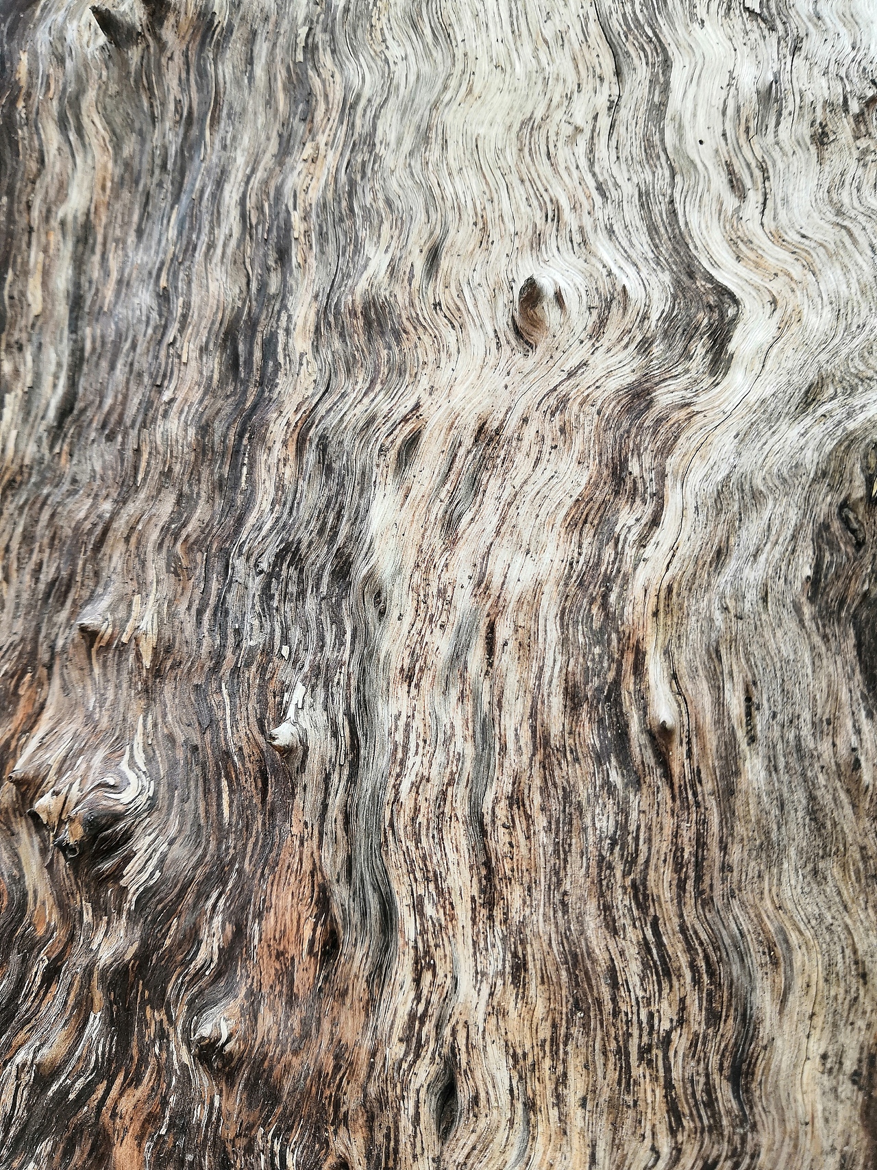 权利的游戏海报