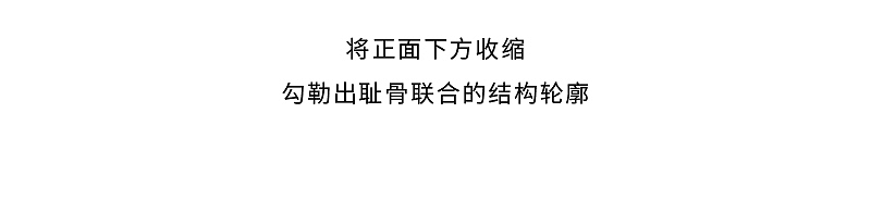 盆腔结构动态解析过程