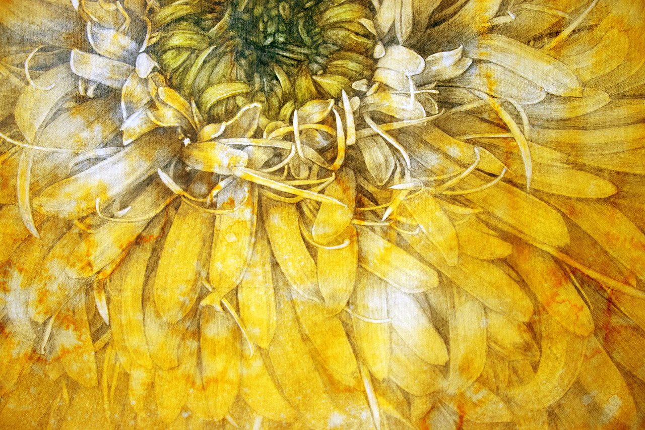 手绘《生命之花》（图ZNTUzNjIzMjA=） - 创作习作 - 站酷设计师你好海燕子原创素材 - 站酷ZCOOL