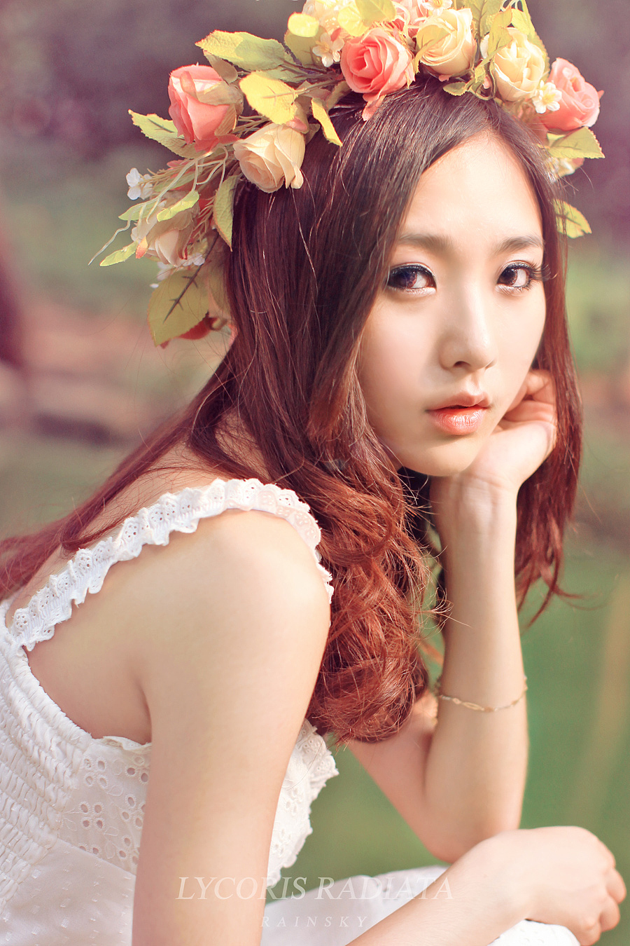 lycorisradiata·曼珠沙华