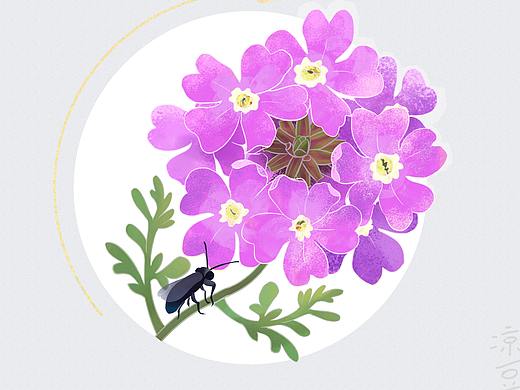 春天的花朵