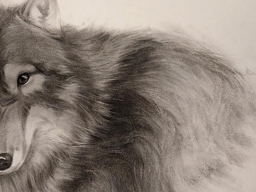 手绘（个人主页-ZMzMzNjc1OTI=） - 绘本 - 站酷设计师王Shoulder原创素材 - 站酷ZCOOL