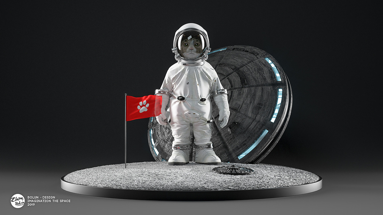 【从流浪猫到宇航员 | Félicette】