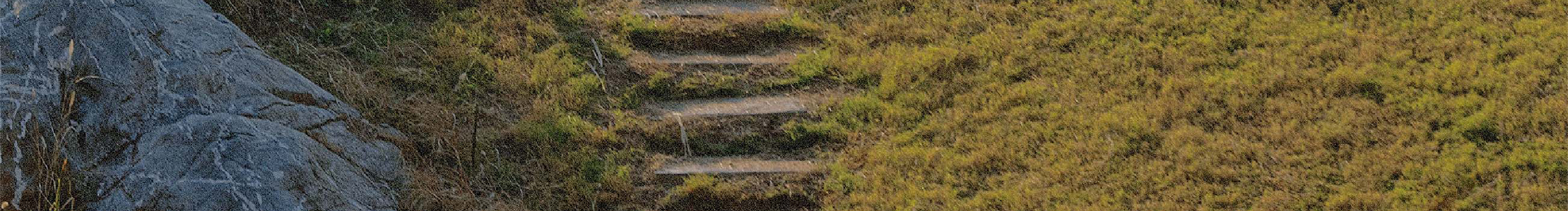 竹官又耳的個(gè)人主頁(yè)（封面預(yù)覽） - 主頁(yè)封面設(shè)置 - 站酷設(shè)計(jì)師竹官又耳原創(chuàng)素材 - 站酷ZCOOL