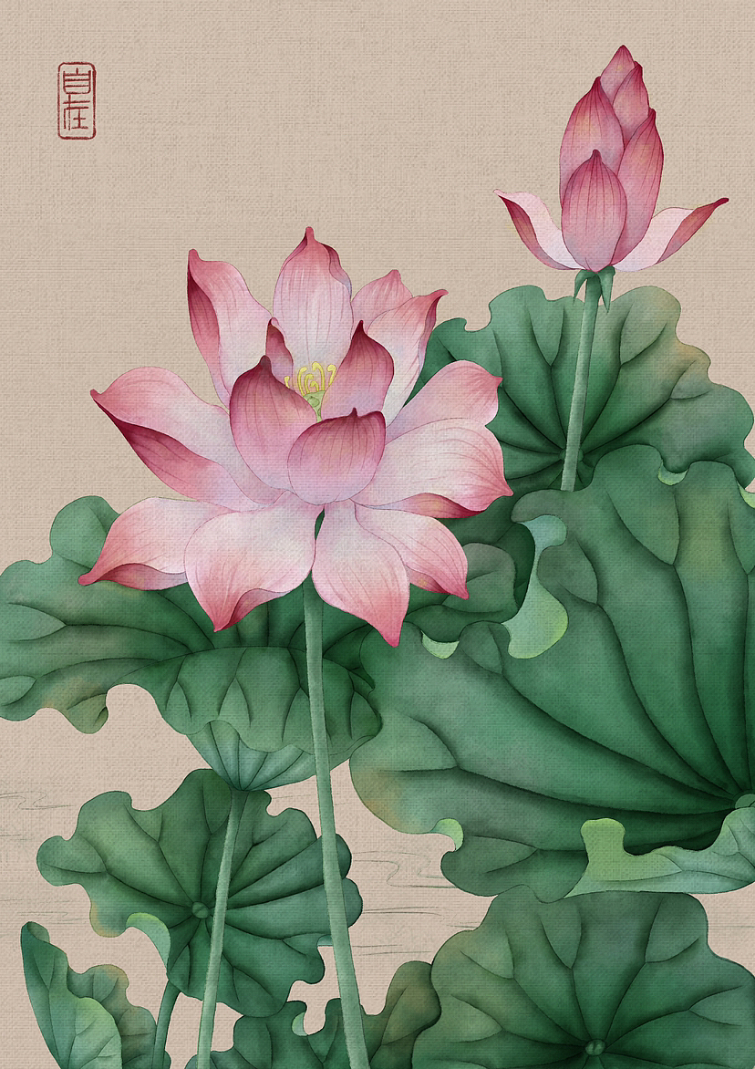 手绘荷花