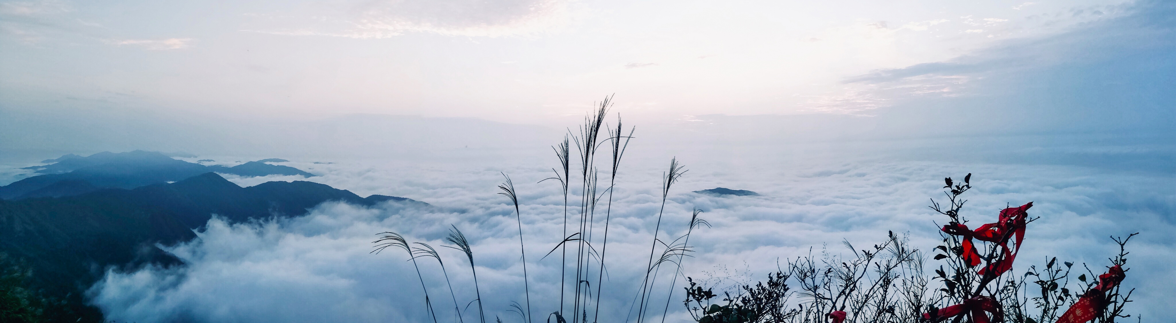 木制本穎的個人主頁（封面預(yù)覽） - 主頁封面設(shè)置 - 站酷設(shè)計師木制本穎原創(chuàng)素材 - 站酷ZCOOL