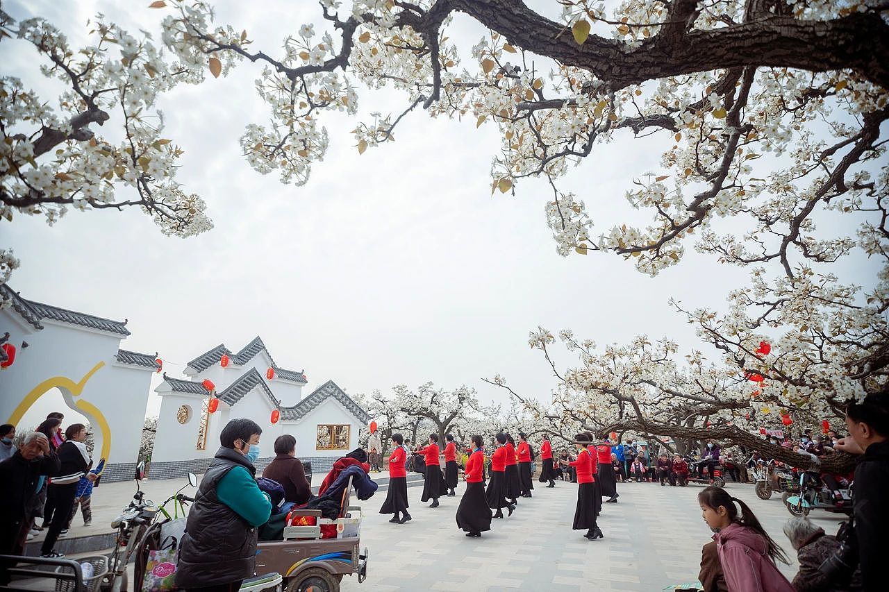 三月二十六日东南温梨园采风