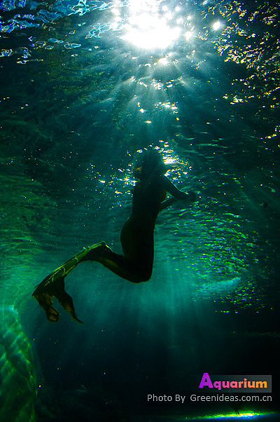 海洋馆（图ZMjI3OTgyNA==） - 风光摄影 - 站酷设计师木木家CC原创素材 - 站酷ZCOOL