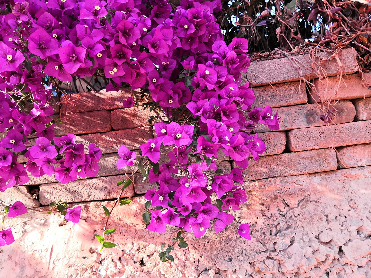 一米阳光（图ZMTUzMjg5Mzg4） - 人文/纪实摄影 - 站酷设计师涂善辉TUSHANHUI原创素材 - 站酷ZCOOL