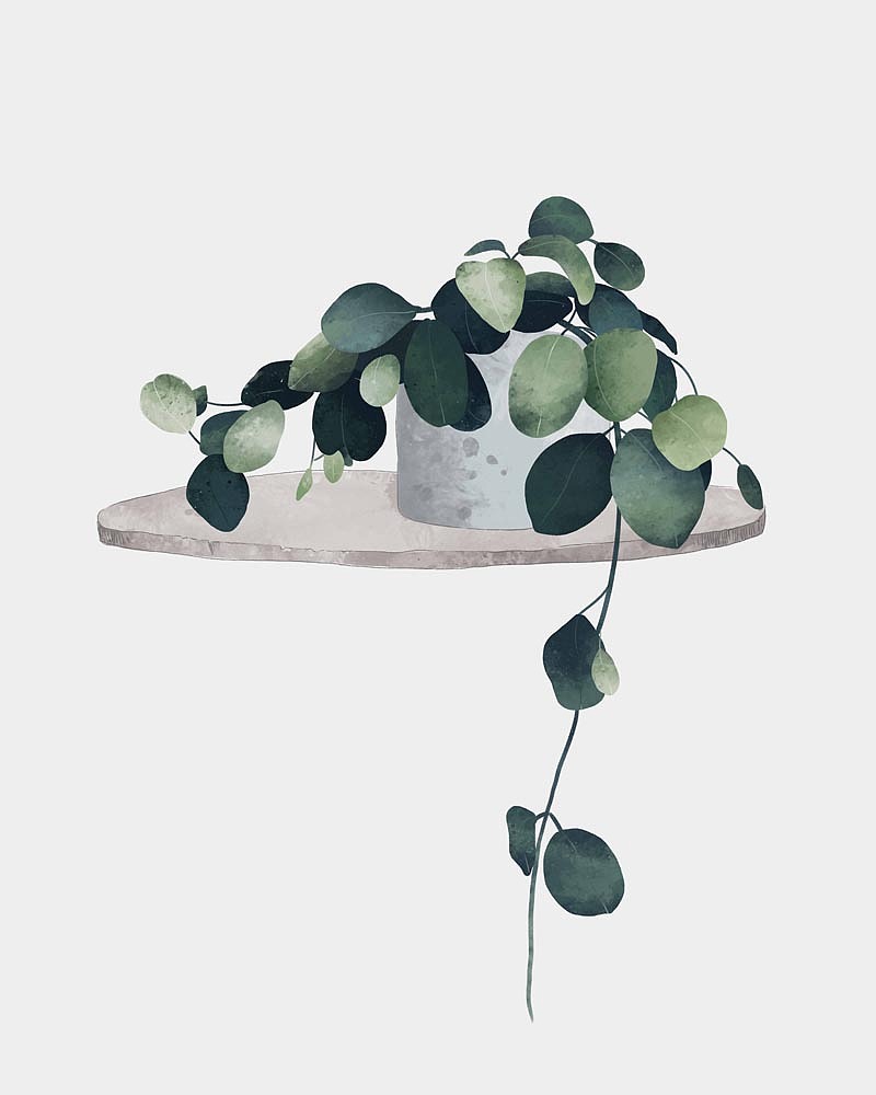 2022小清新香格里拉定制（图ZMjkwNzI5MjQ4） - 商业插画 - 站酷设计师窗帘图库原创素材 - 站酷ZCOOL