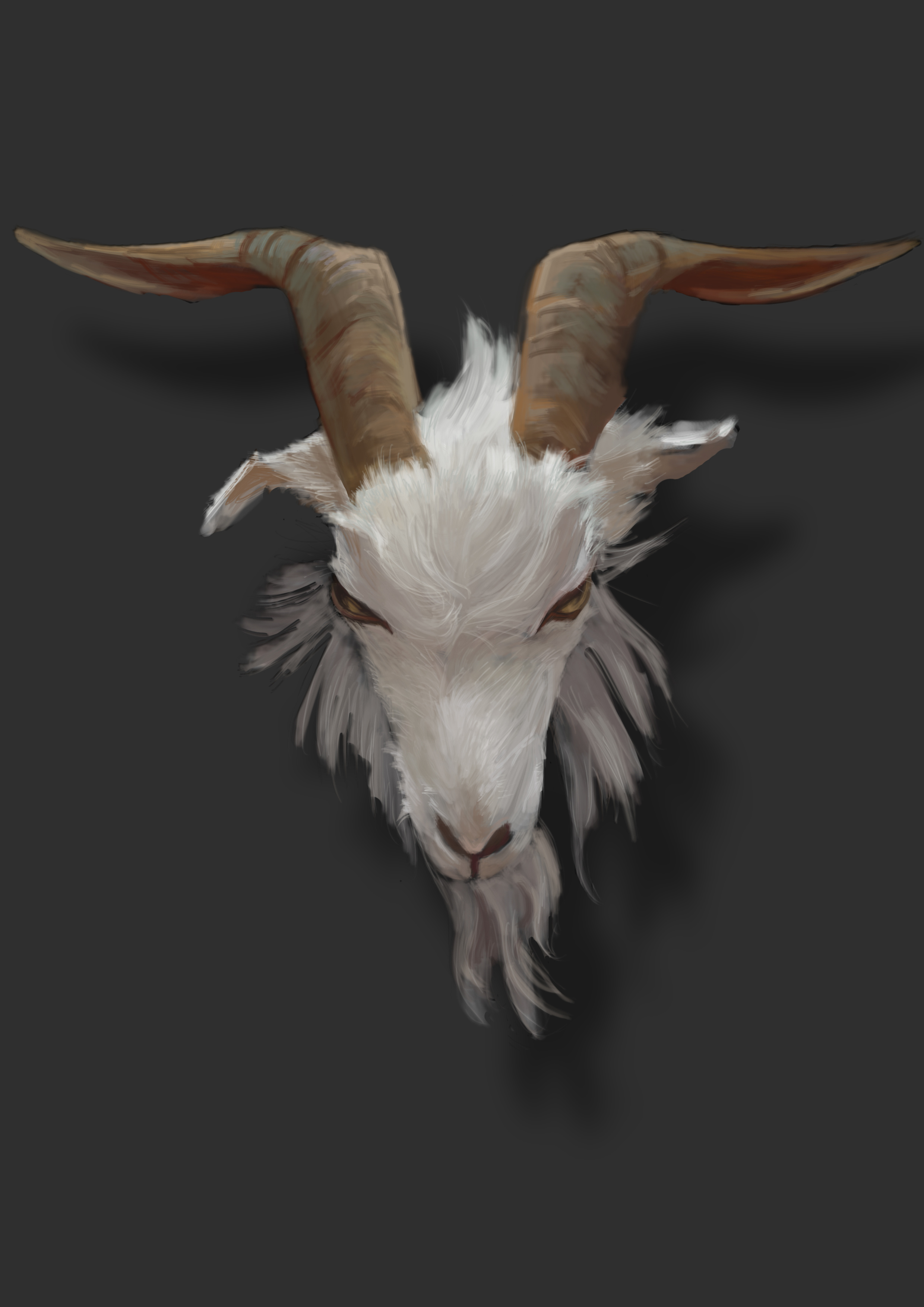 羊头|插画|商业插画|堕落1988 - 原创作品 - 站酷 (zcool)