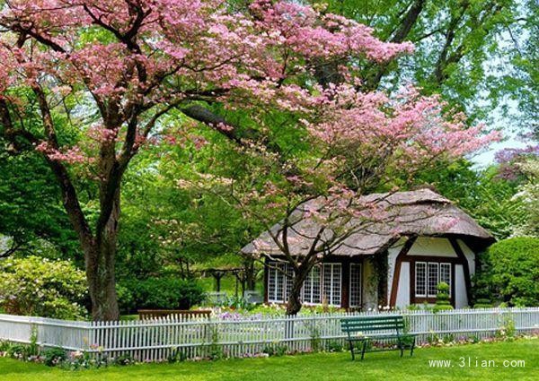 赵艳荣的个人主页（背景预览） - 主页背景设置 - 站酷设计师赵艳荣原创素材 - 站酷ZCOOL