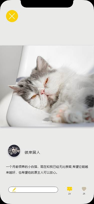 宠物领养app交互设计（图ZMjI3MzA5NTIw） - APP界面 - 站酷设计师千羽千鹤原创素材 - 站酷ZCOOL