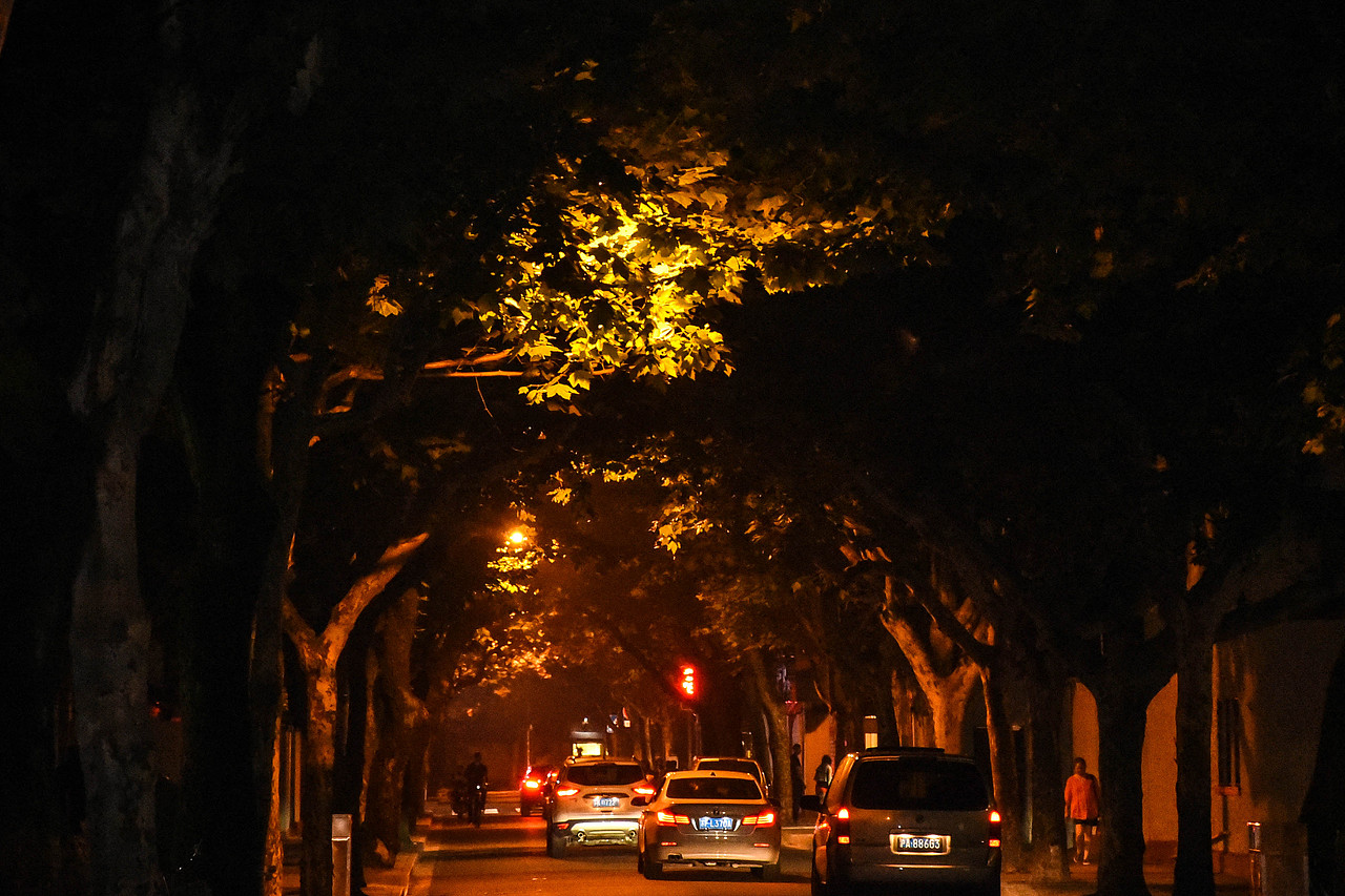 这一世,只是扫街的孩子