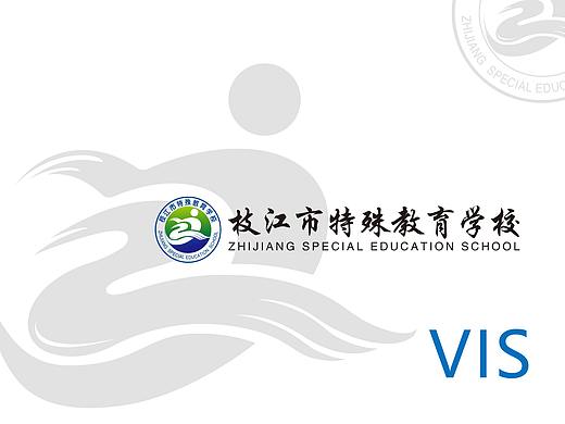 枝江市特殊教育学校VIS