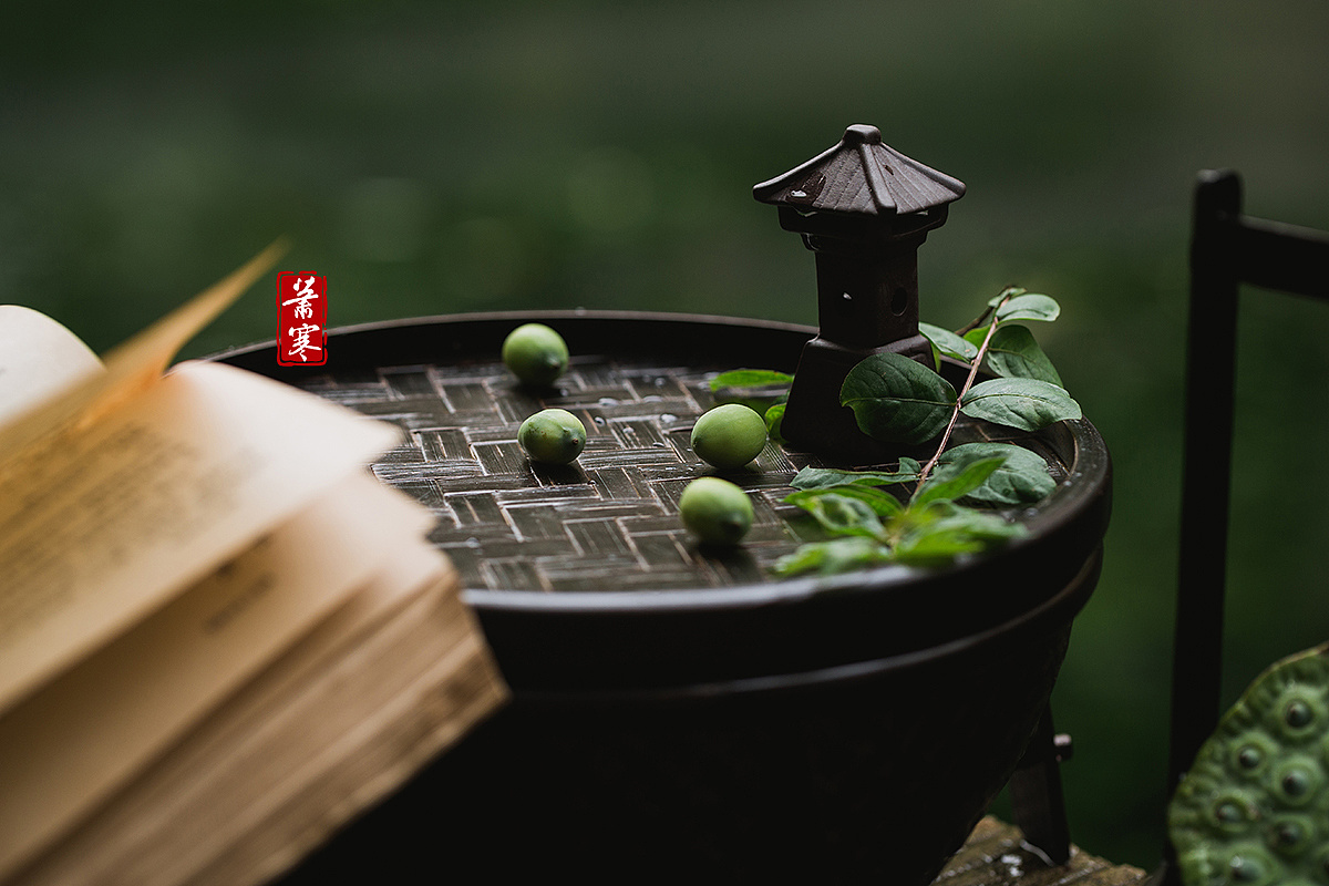 国风静物摄影 | 溪头卧剥莲蓬|摄影|美食摄影|萧寒jevil - 原创作品