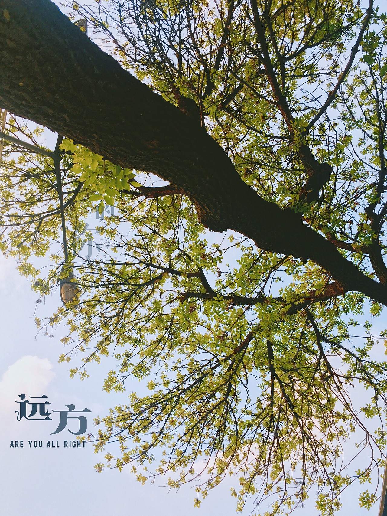 手机摄影（图ZMjA0ODE2MzMy） - 人文/纪实摄影 - 站酷设计师宫黎原创素材 - 站酷ZCOOL