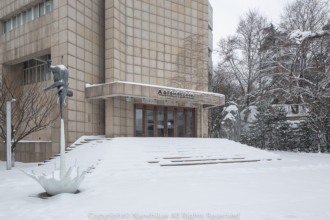 南京艺术学院冬天雪景|大学校园建筑景观摄影作品|金陵