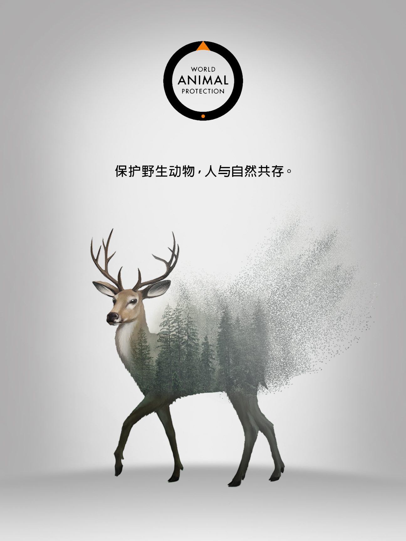保护野生动物创意海报图片