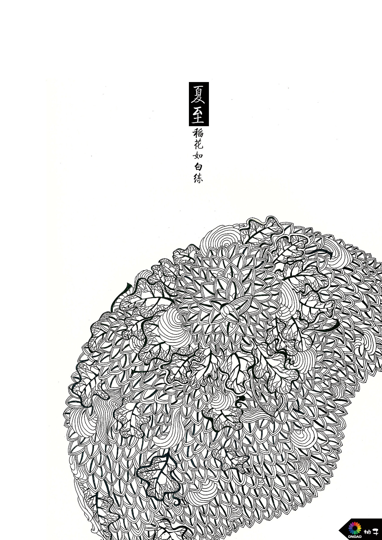 24节气系列插画设计之夏至（图ZMjU2ODEzMzY=） - 其他平面 - 站酷设计师猫吃鱼329原创素材 - 站酷ZCOOL