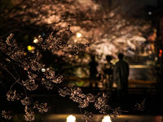花下