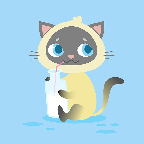 喝奶的别样小猫