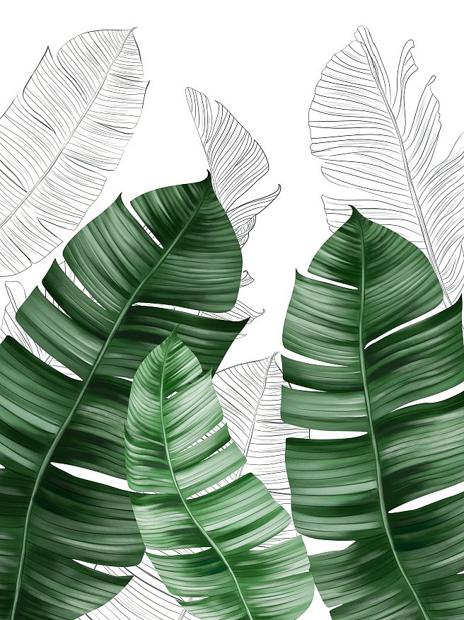 2018年上半年画的一些画