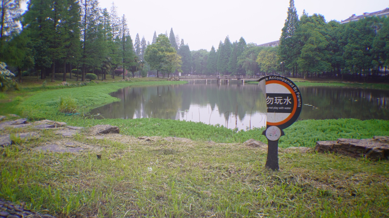 沧野镜头下的校园