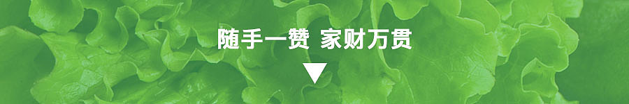 UI KIT / 鲜菜源 / 网上超市