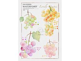 iPAD水彩 | 春日系葡萄图鉴