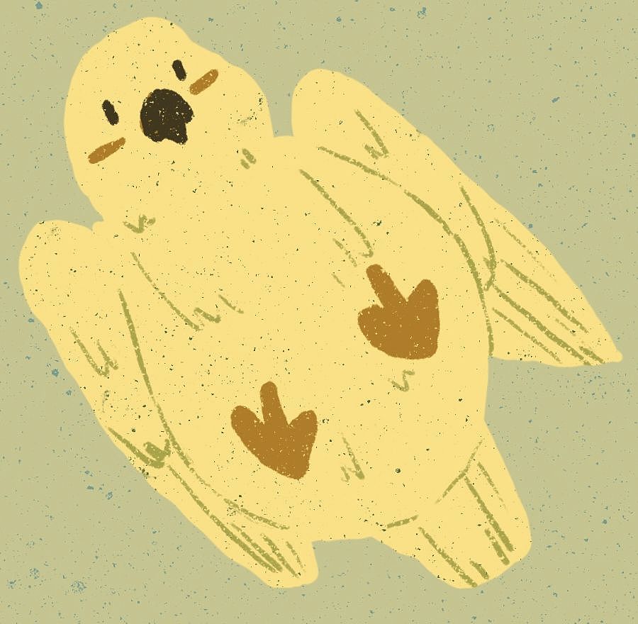 做一只快乐的小鹦鹉