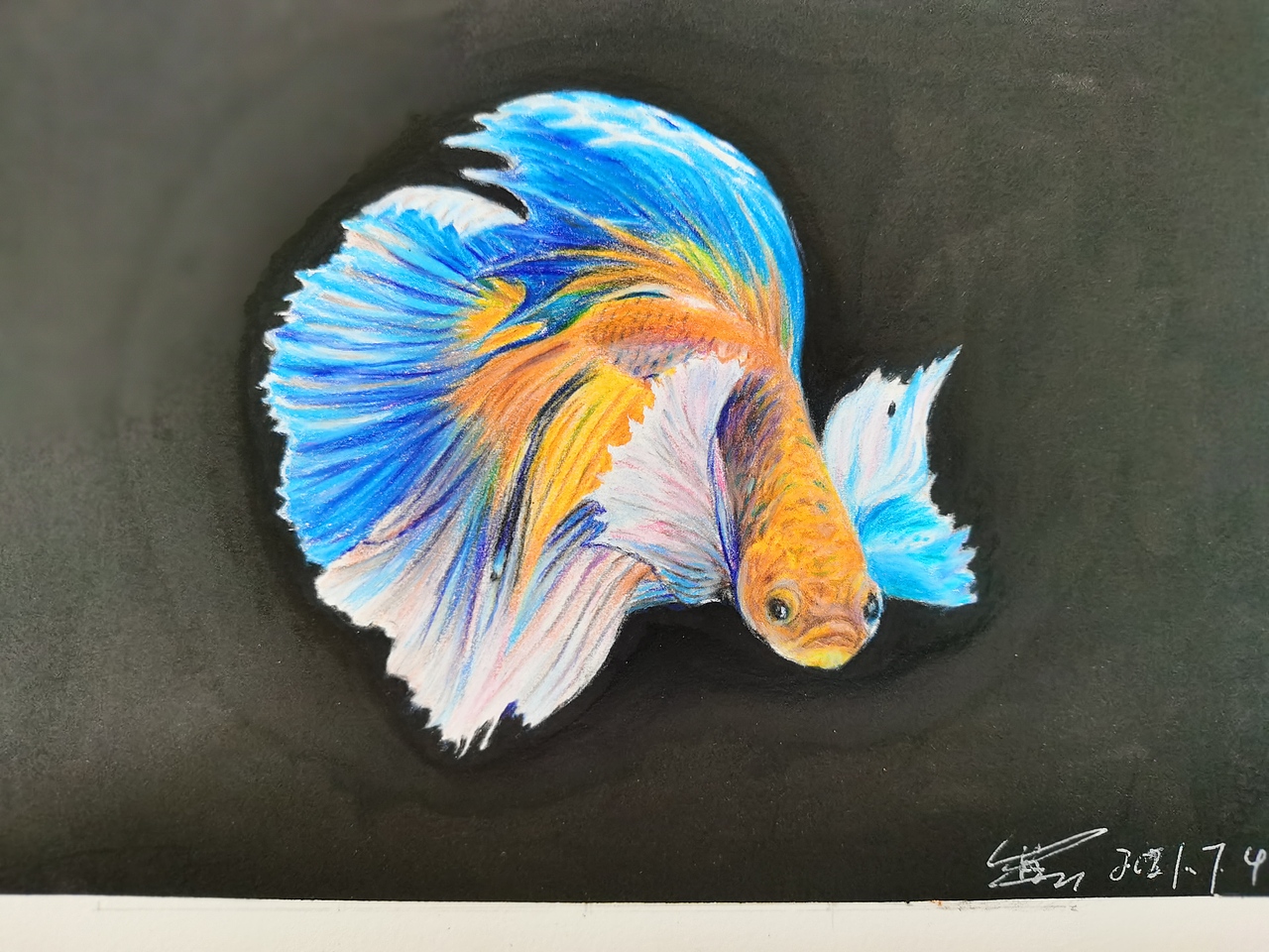 彩铅动物（图ZMjYyNTQ2MDY0） - 绘画 - 站酷设计师tqy0901原创素材 - 站酷ZCOOL