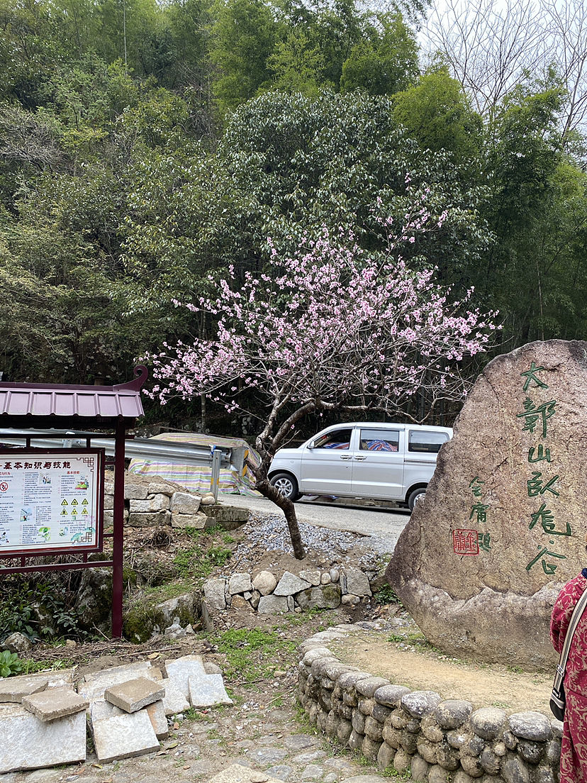 2023.3婺源芸薹烂漫（图ZMzQ5NjY2ODUy） - 风光摄影 - 站酷设计师Watson_Wang原创素材 - 站酷ZCOOL