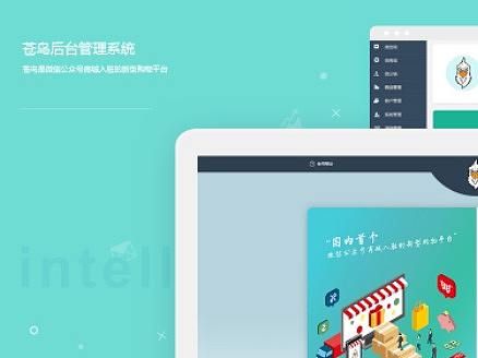 一家购物微商城后台页面