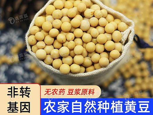 达洱狐电商—农家自然种植黄豆