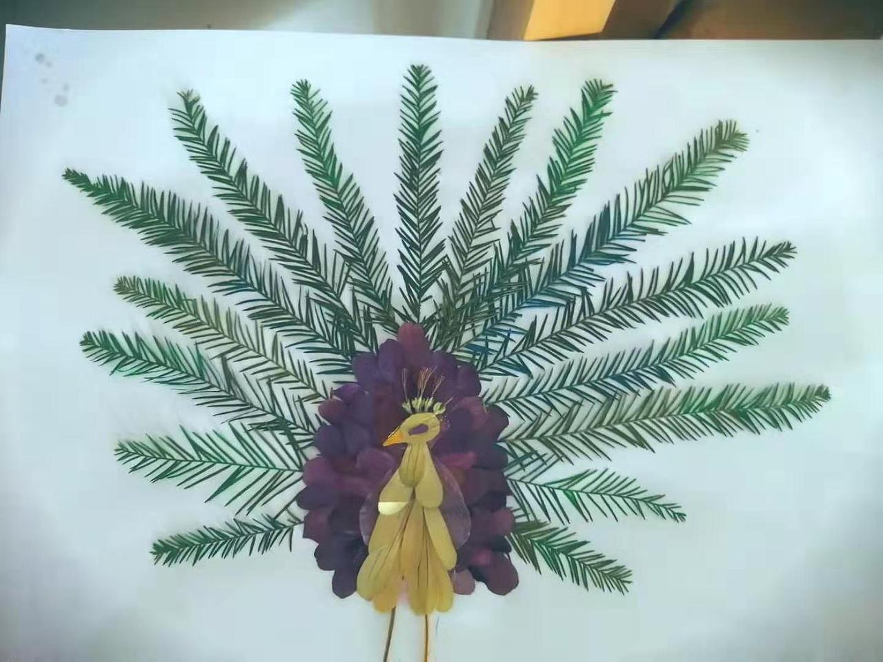 树叶贴画 花贴画 孔雀