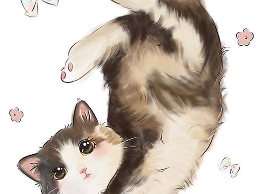 可爱小猫