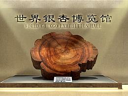 文化馆