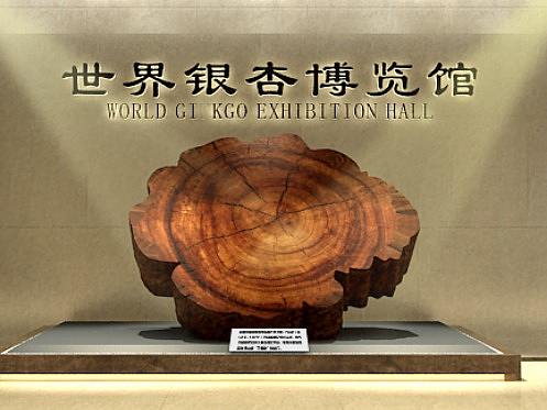 世界银杏博览馆